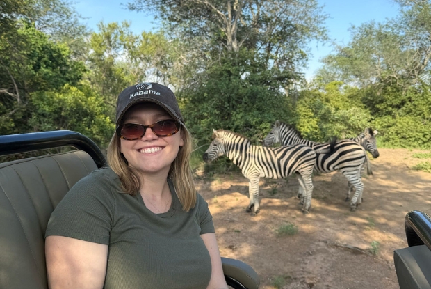 Zebras